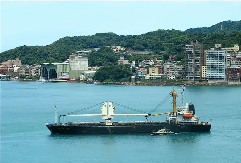 GOLD EAGLE General Cargo IMO 9168398 photo 9