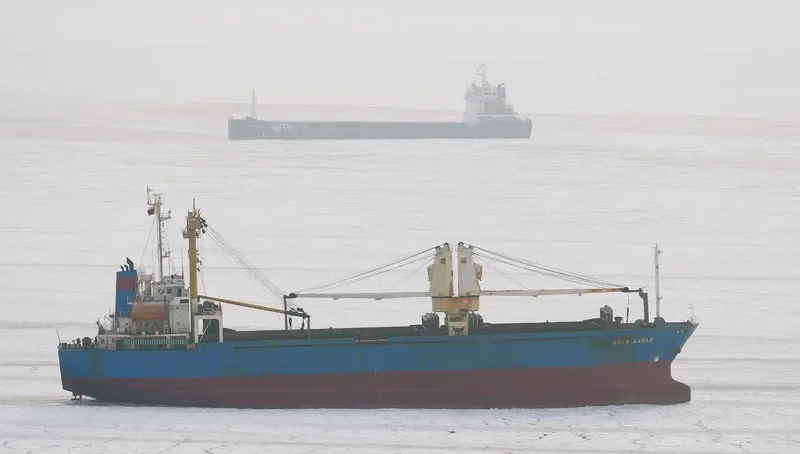 GOLD EAGLE General Cargo IMO 9168398 photo 10
