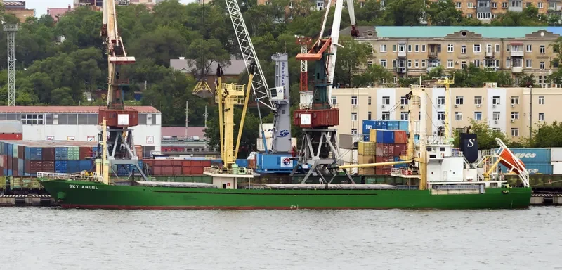 HAMMER General Cargo IMO 9168441 photo 2