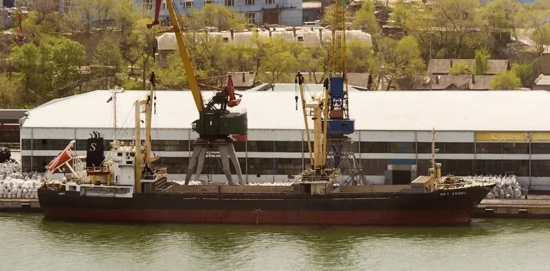 HAMMER General Cargo IMO 9168441 photo 4