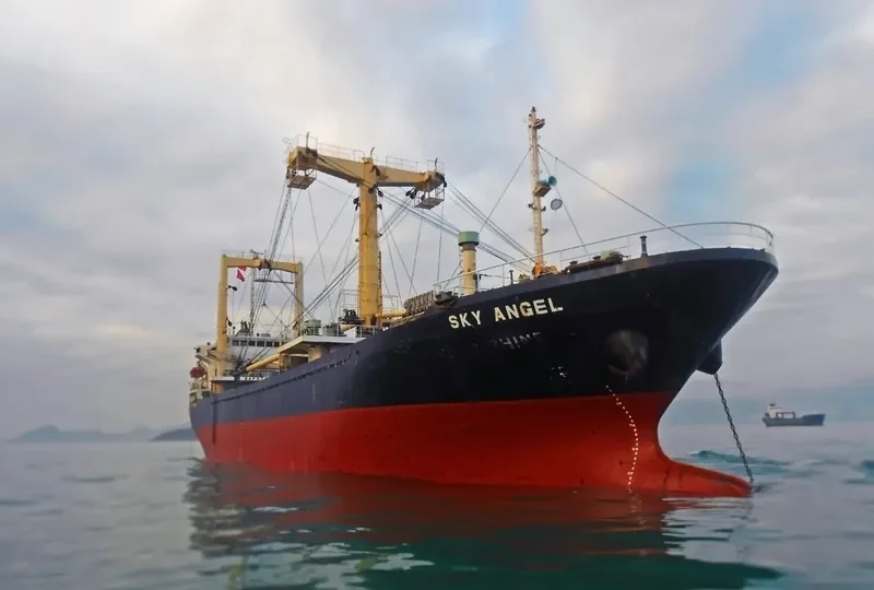 HAMMER General Cargo IMO 9168441 photo 9