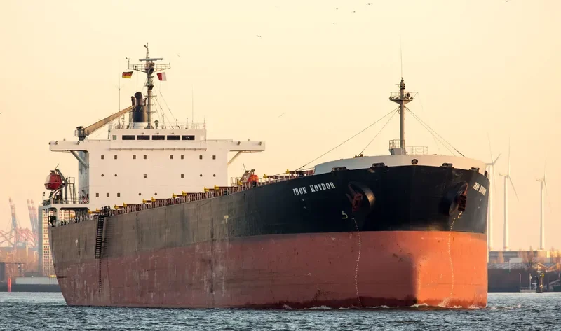 IRON KOVDOR Bulk Carrier IMO 9168465 photo 2