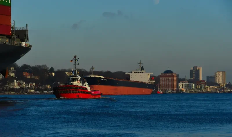 IRON KOVDOR Bulk Carrier IMO 9168465 photo 3