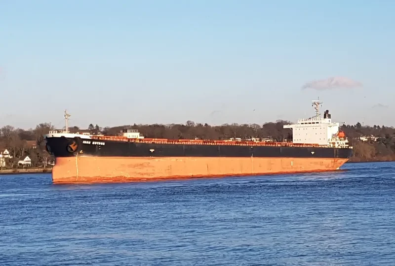 IRON KOVDOR Bulk Carrier IMO 9168465 photo 5