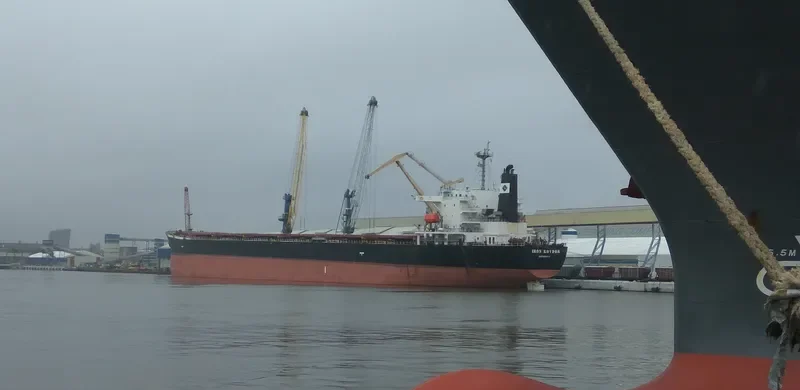 IRON KOVDOR Bulk Carrier IMO 9168465 photo 7