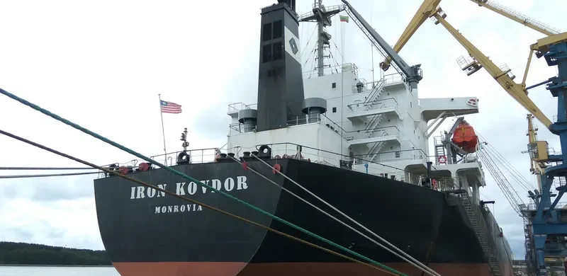 IRON KOVDOR Bulk Carrier IMO 9168465 photo 8