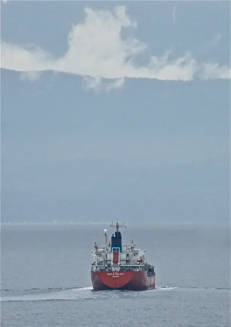 MAPLE Tanker IMO 9168477 photo 8
