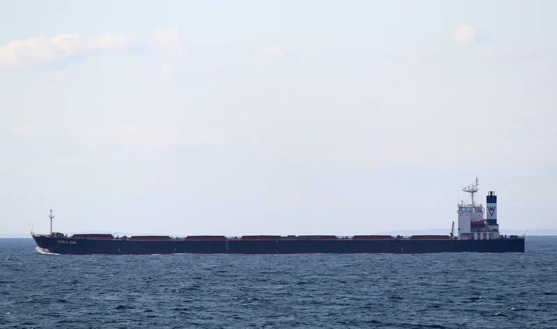 NAN XIN 1 Bulk Carrier IMO 9168489
