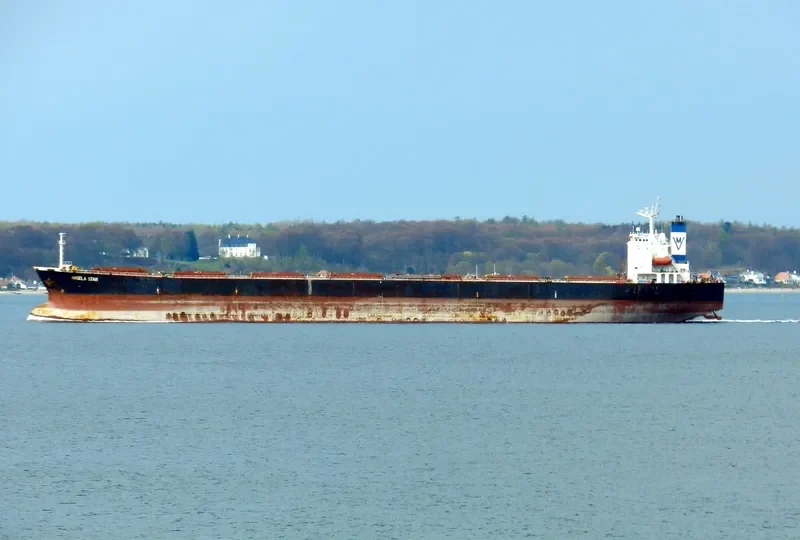 NAN XIN 1 Bulk Carrier IMO 9168489 photo 2