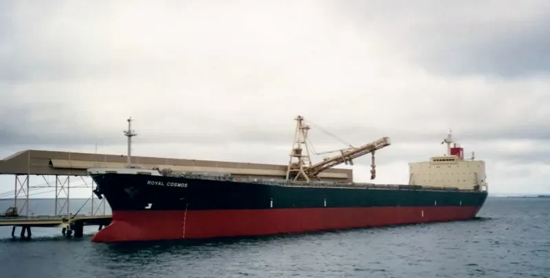 NAN XIN 1 Bulk Carrier IMO 9168489 photo 4