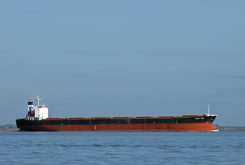 NAN XIN 1 Bulk Carrier IMO 9168489 photo 5