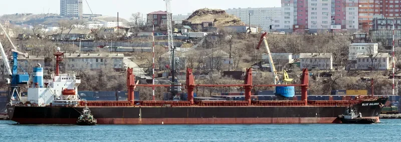 SEACON NINGBO Bulk Carrier IMO 9168491 photo 3
