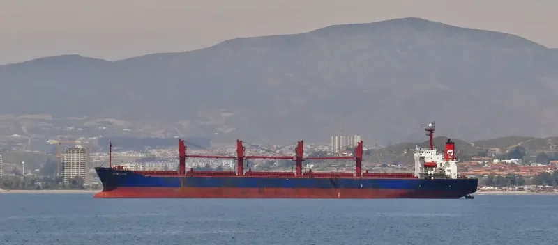 IVY OCEAN Bulk Carrier IMO 9168506 photo 3