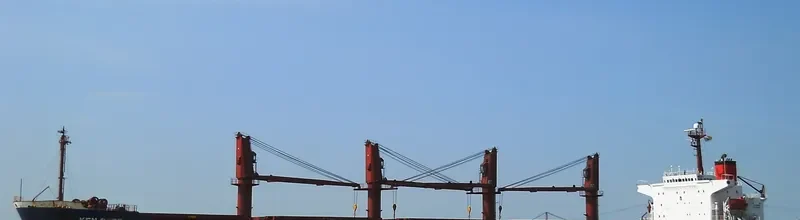 IVY OCEAN Bulk Carrier IMO 9168506 photo 7