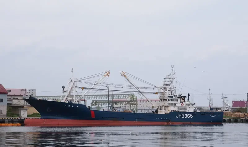 HIYOSHI MARU General Cargo IMO 9168568