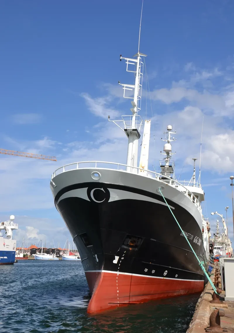 STRAUMBAS General Cargo IMO 9168685 photo 7