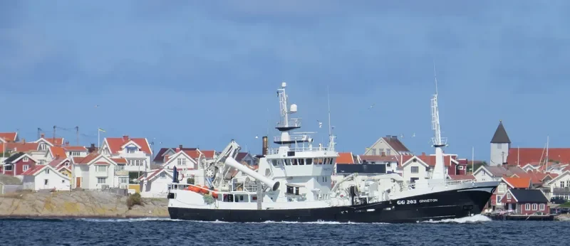 STRAUMBAS General Cargo IMO 9168685 photo 10