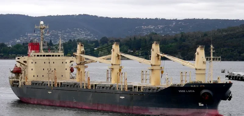 VTC GLORY Bulk Carrier IMO 9168752 photo 6