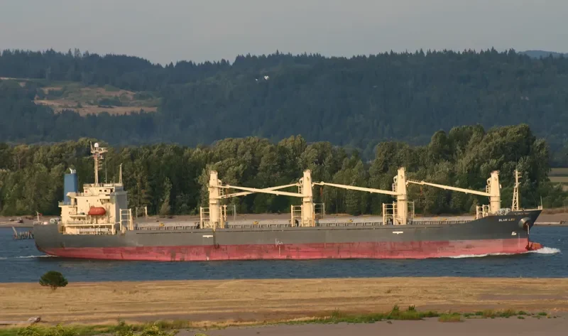 VTC GLORY Bulk Carrier IMO 9168752 photo 8