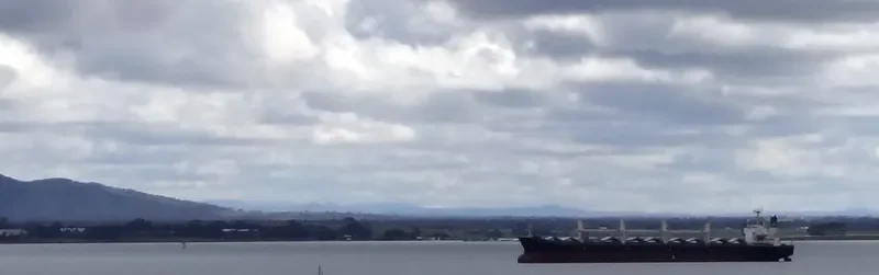 COS GLORY Bulk Carrier IMO 9168893 photo 6