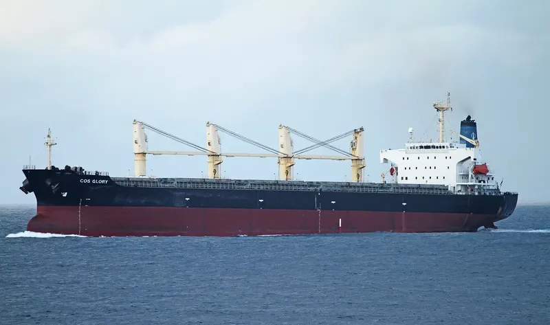 COS GLORY Bulk Carrier IMO 9168893 photo 7