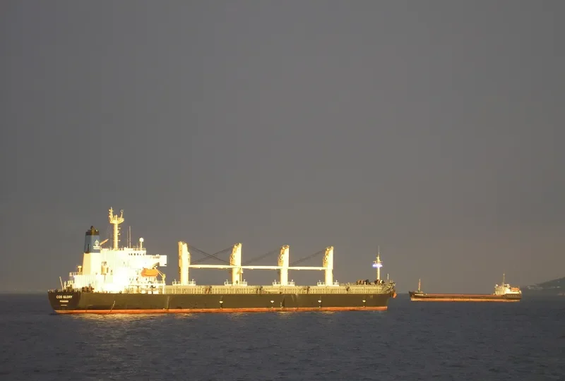 COS GLORY Bulk Carrier IMO 9168893 photo 9