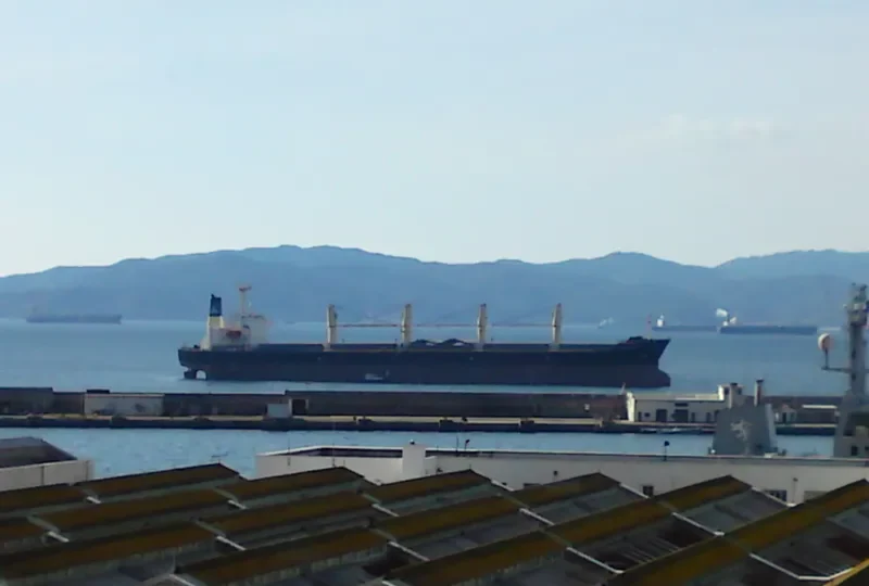 COS GLORY Bulk Carrier IMO 9168893 photo 10