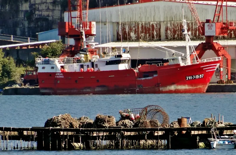 AMEAL General Cargo IMO 9168910 photo 2