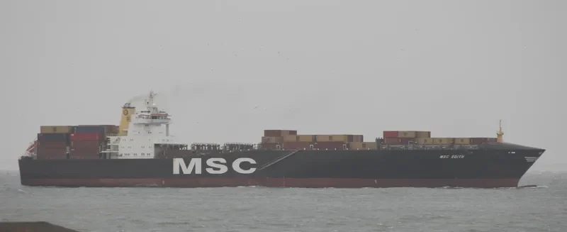 MSC EDITH Container Ship IMO 9169029 photo 2