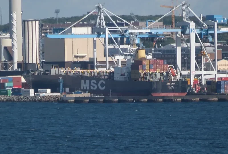 MSC EDITH Container Ship IMO 9169029 photo 4