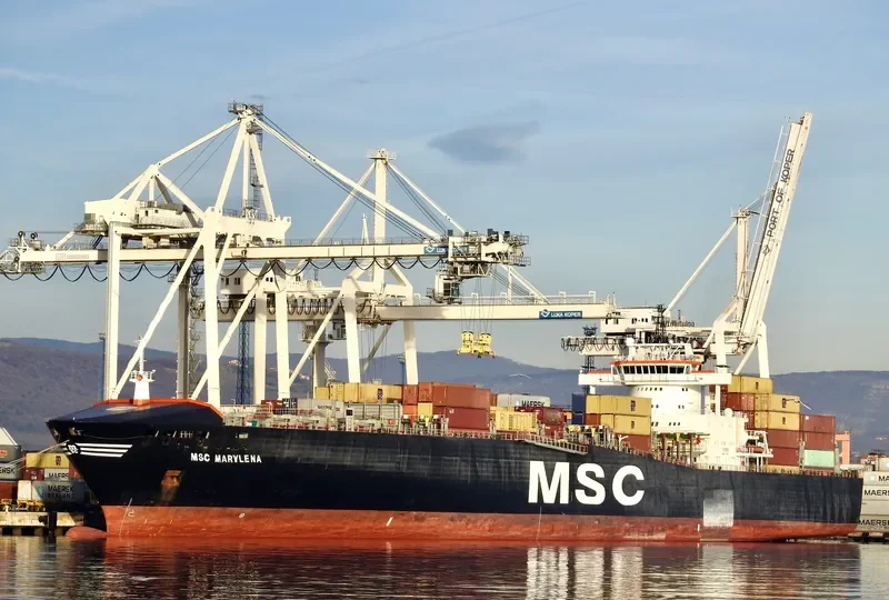 MSC MARYLENA Container Ship IMO 9169031 photo 2