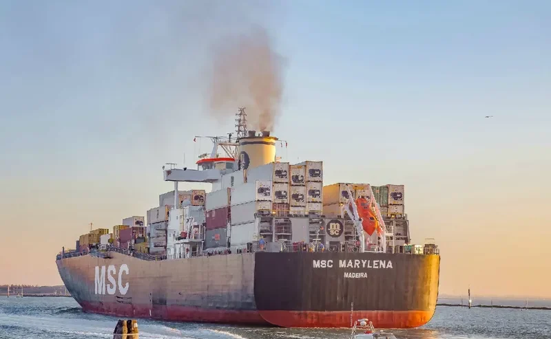 MSC MARYLENA Container Ship IMO 9169031 photo 5