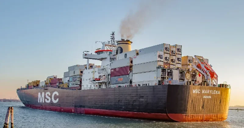 MSC MARYLENA Container Ship IMO 9169031 photo 6