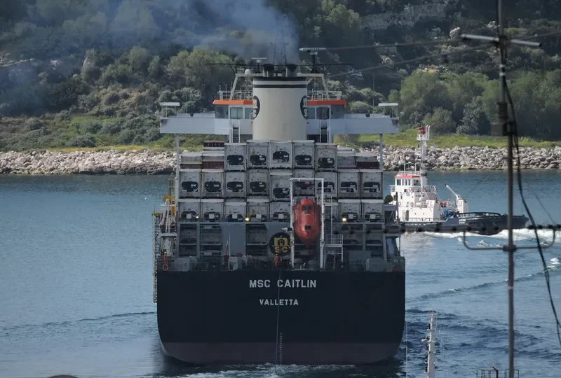 MSC CAITLIN Container Ship IMO 9169043 photo 4