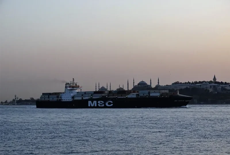 MSC CAITLIN Container Ship IMO 9169043 photo 7