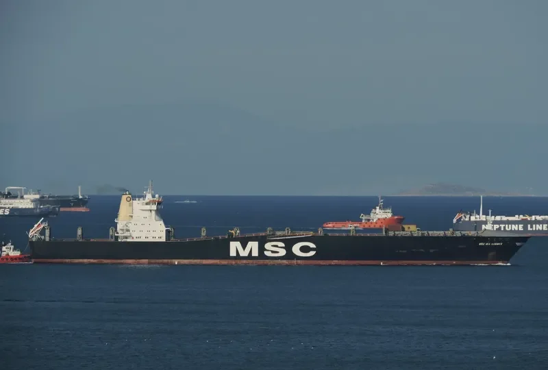 MSC MIA SUMMER Container Ship IMO 9169067 photo 3