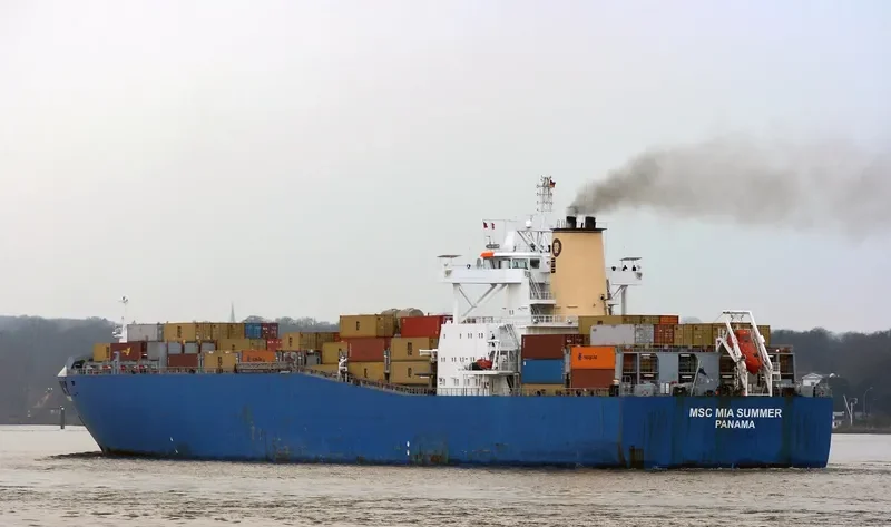 MSC MIA SUMMER Container Ship IMO 9169067 photo 10