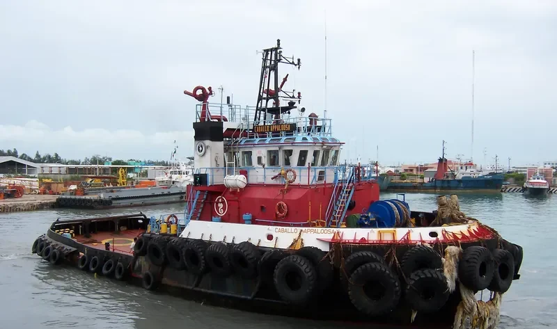 CABALLO APPALOOSA General Cargo IMO 9169081