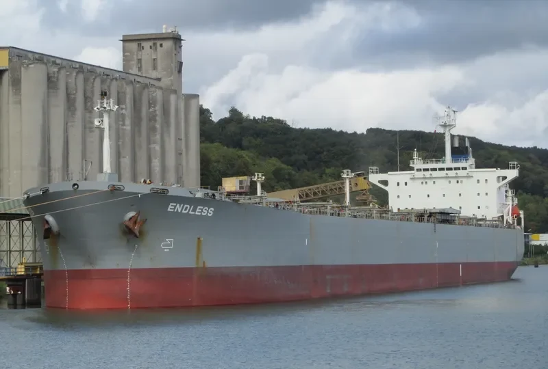 DONG JIANG LI Bulk Carrier IMO 9169110 photo 3
