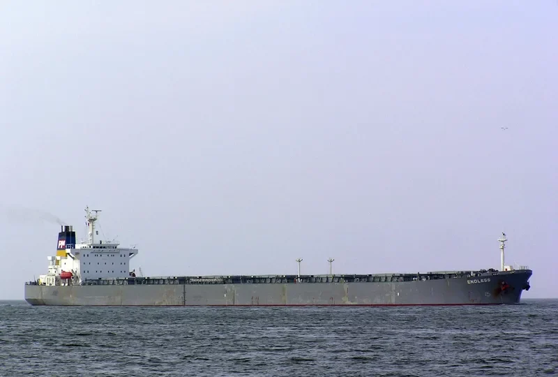 DONG JIANG LI Bulk Carrier IMO 9169110 photo 7