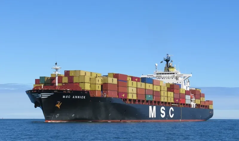 MSC ANNICK Container Ship IMO 9169122 photo 2