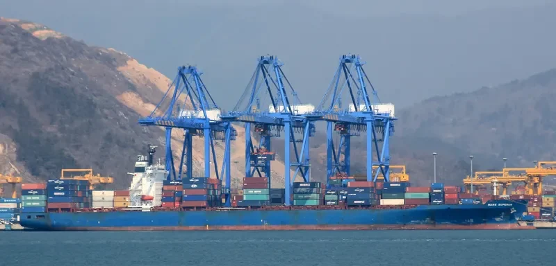 MSC ANNICK Container Ship IMO 9169122 photo 4