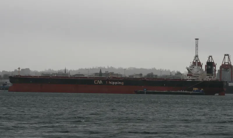 C.TRIUMPH Bulk Carrier IMO 9169225 photo 3