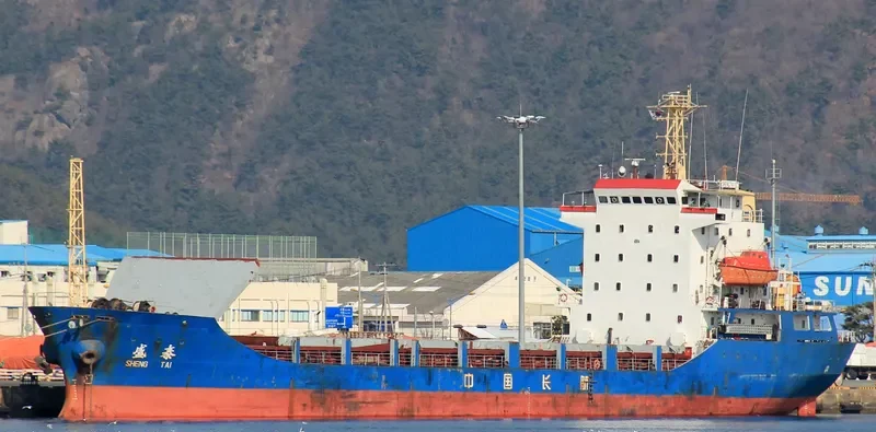 SHENG TAI General Cargo IMO 9169304 photo 3