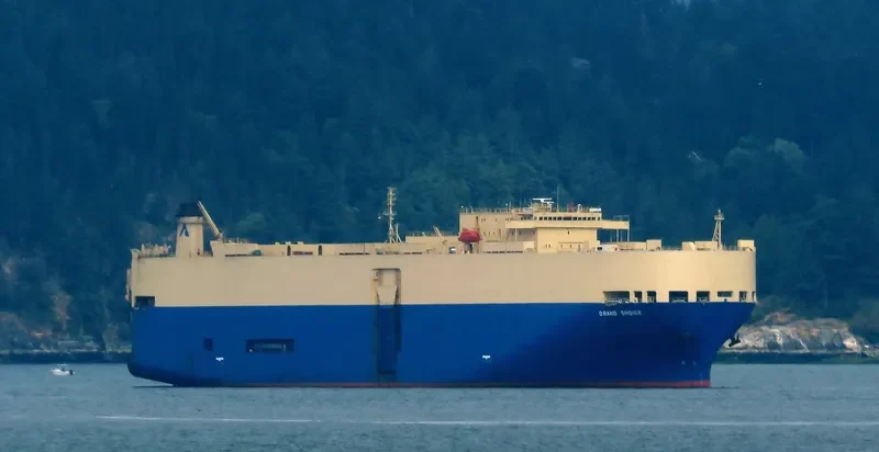 GRAND CHOICE General Cargo IMO 9169316