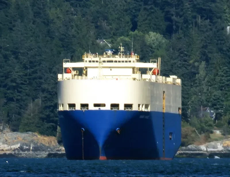 GRAND CHOICE General Cargo IMO 9169316 photo 2