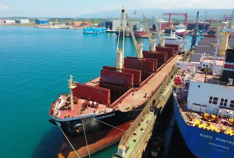 CORONA Bulk Carrier IMO 9169342