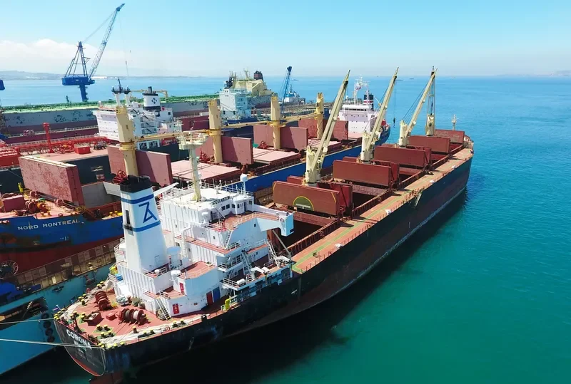 CORONA Bulk Carrier IMO 9169342 photo 3
