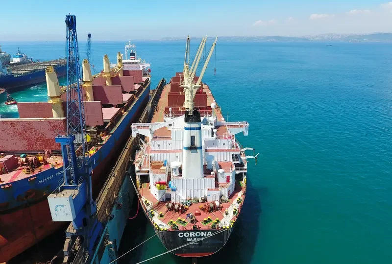 CORONA Bulk Carrier IMO 9169342 photo 4