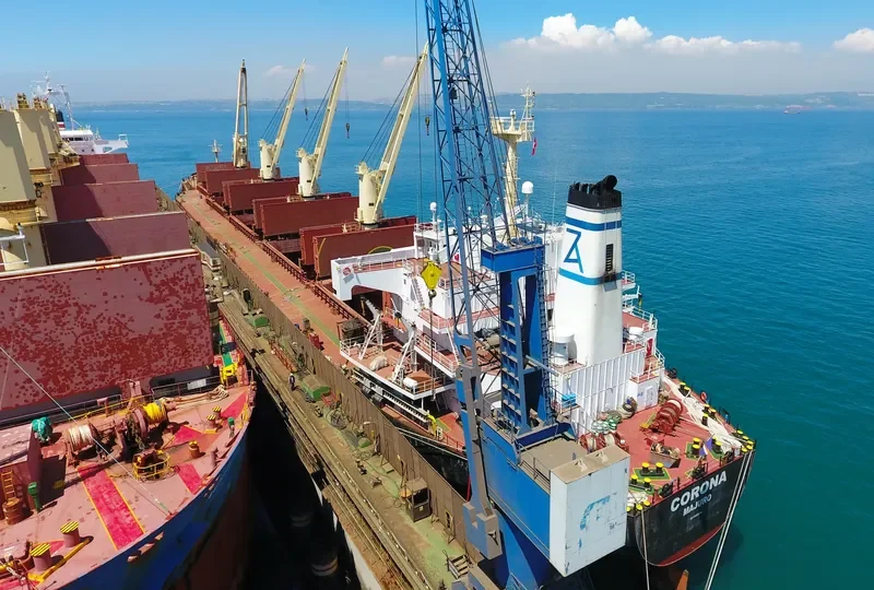CORONA Bulk Carrier IMO 9169342 photo 5